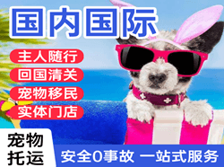 海口美兰航空空运国际宠物托运 【国